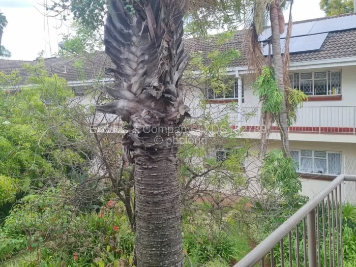 Flat/Apartment to Rent in Avonlea, Harare