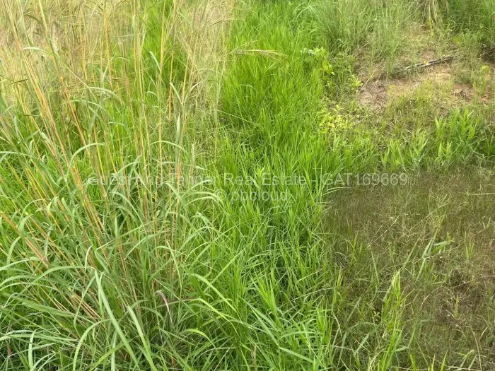 Residential Stand for Sale in Ruwa, Ruwa