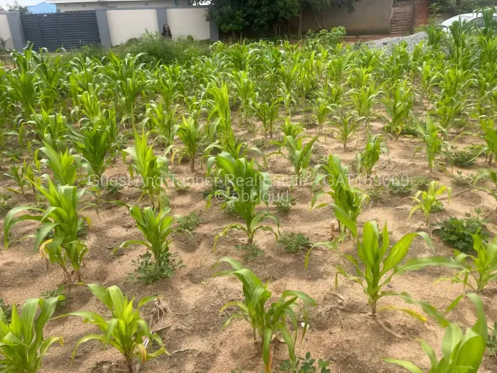 Residential Stand for Sale in Ruwa, Ruwa