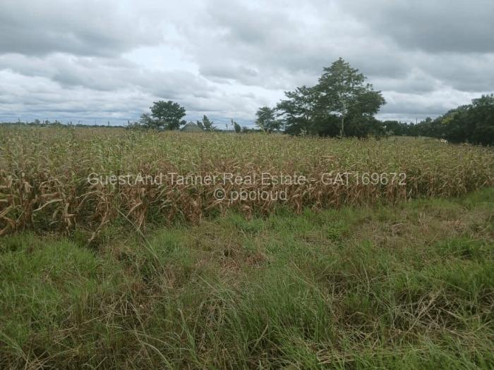 Residential Stand for Sale in Norton, Norton