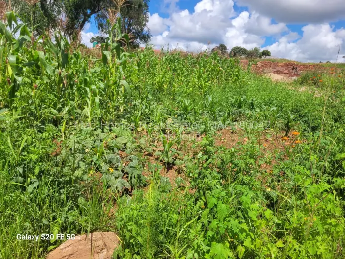 Residential Stand for Sale in Borrowdale, Harare