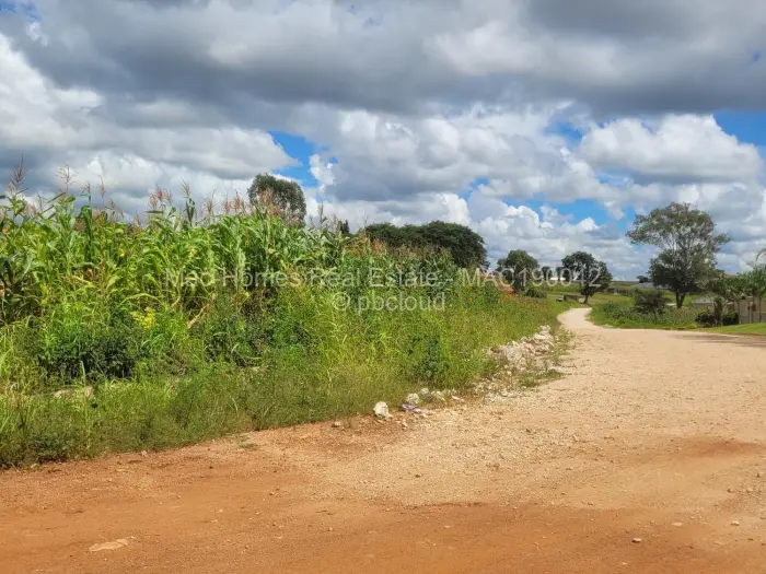Residential Stand for Sale in Borrowdale, Harare