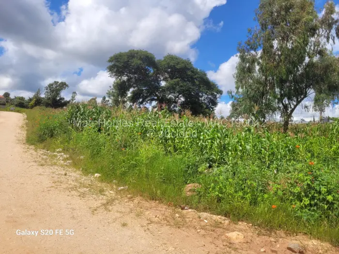 Residential Stand for Sale in Borrowdale, Harare