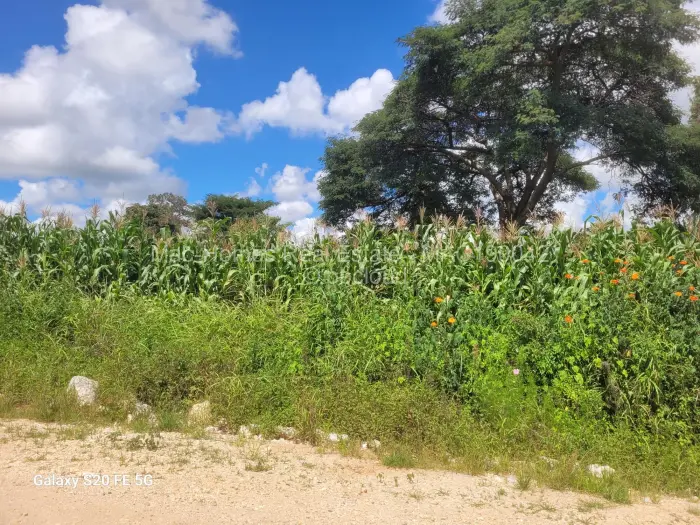 Residential Stand for Sale in Borrowdale, Harare