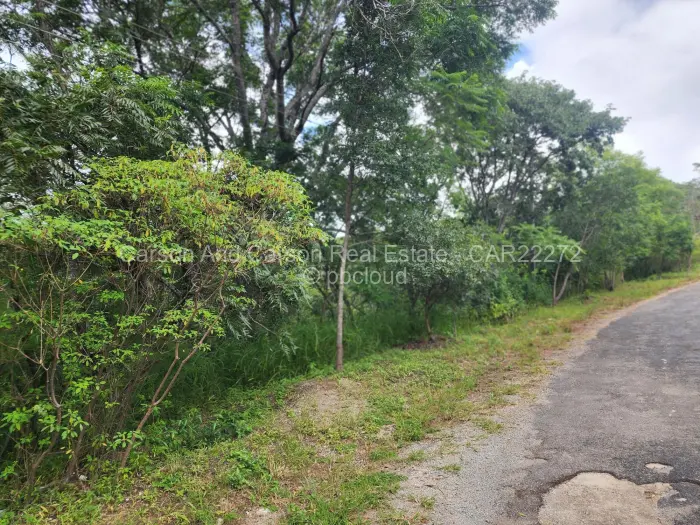 Residential Stand for Sale in The Grange, Harare