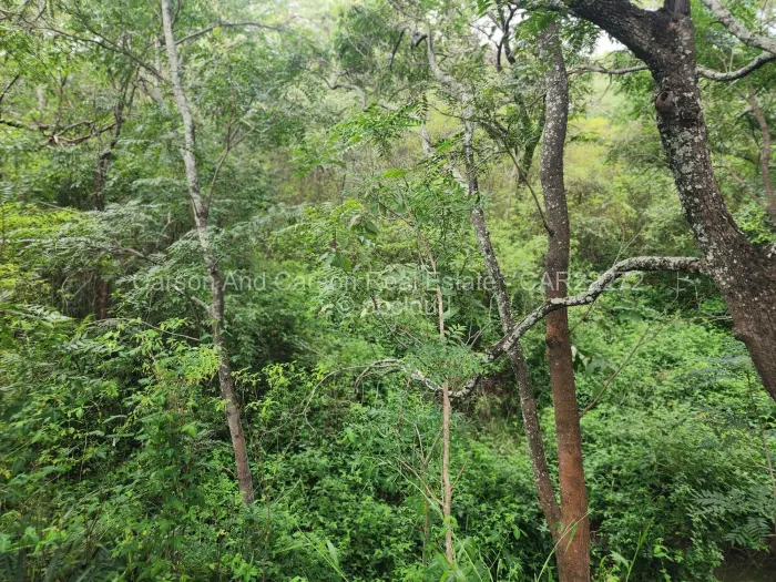 Residential Stand for Sale in The Grange, Harare