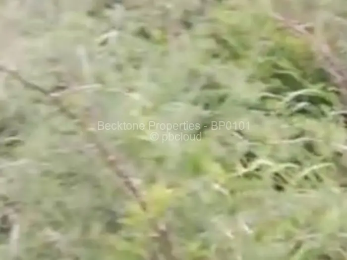 Residential Stand for Sale in Matsheumhlope, Bulawayo