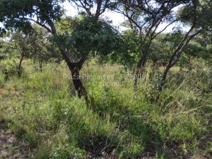 Residential Stand for Sale in Marondera, Marondera