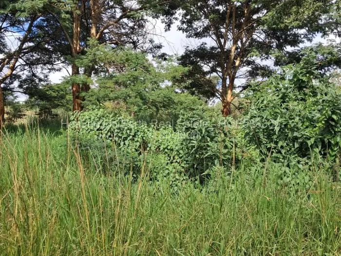 Residential Stand for Sale in Mandara, Harare