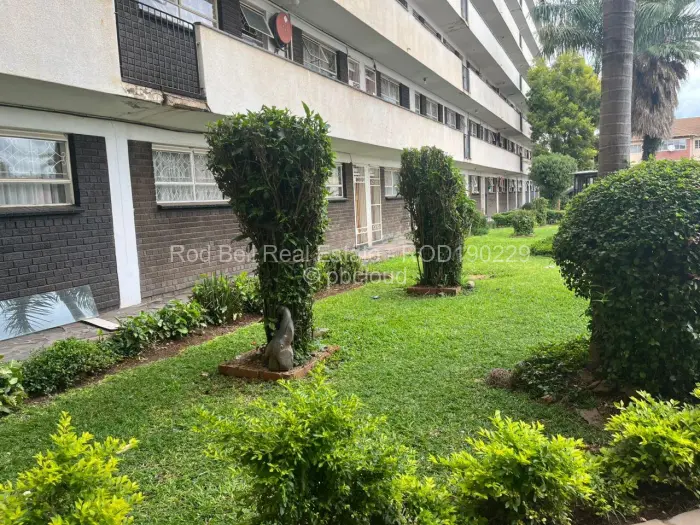 Flat/Apartment to Rent in Avenues