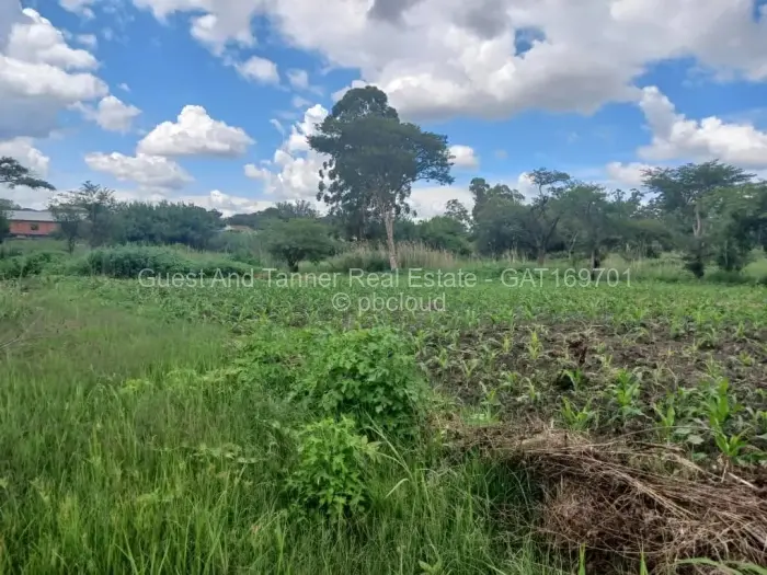 Commercial Stand for Sale in Waterfalls, Harare