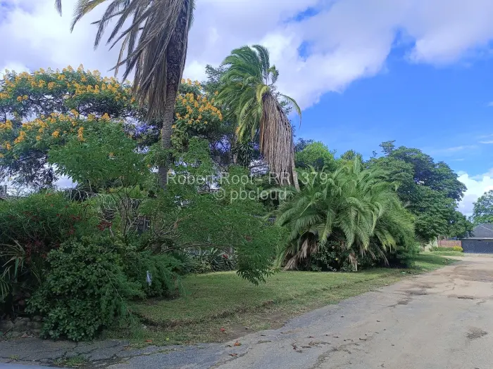 3 Bedroom House to Rent in Avondale West