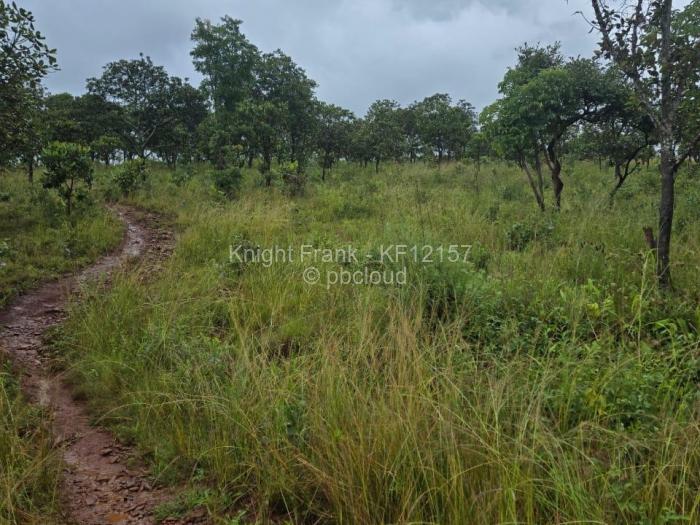 Residential Stand for Sale in Shawasha Hills, Harare