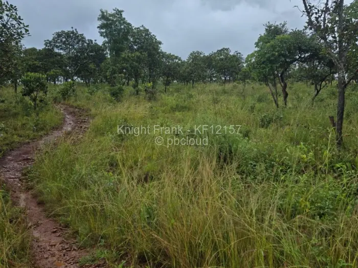 Residential Stand for Sale in Shawasha Hills, Harare