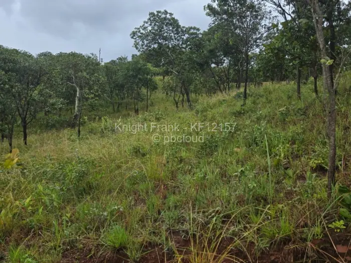 Residential Stand for Sale in Shawasha Hills, Harare