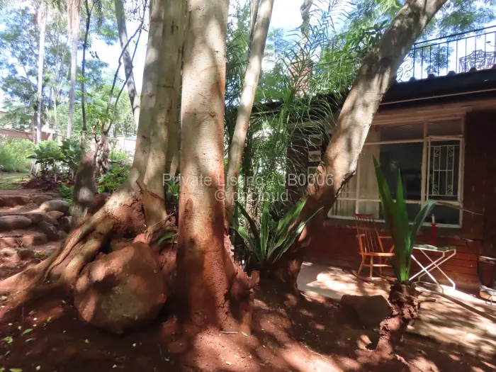 1 Bedroom Cottage/Garden Flat to Rent in Chisipite, Harare