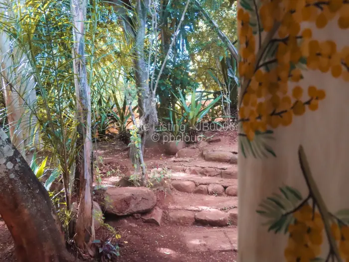 1 Bedroom Cottage/Garden Flat to Rent in Chisipite, Harare