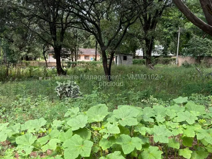 2 Bedroom House for Sale in Chiredzi, Chiredzi