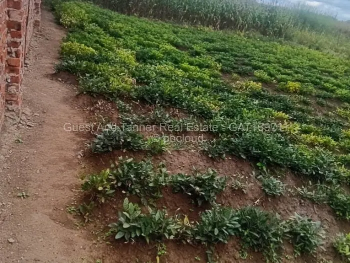 Industrial Stand for Sale in Sandton Park, Harare