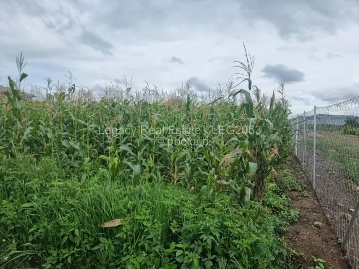 Residential Stand for Sale in Sandton, Johannesburg