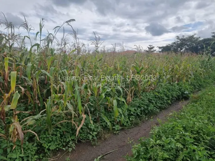 Residential Stand for Sale in Sandton, Johannesburg