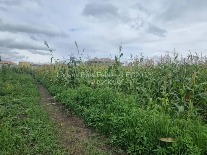 Residential Stand for Sale in Sandton, Johannesburg