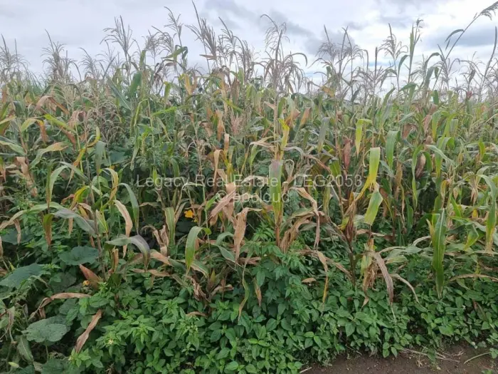 Residential Stand for Sale in Sandton, Johannesburg