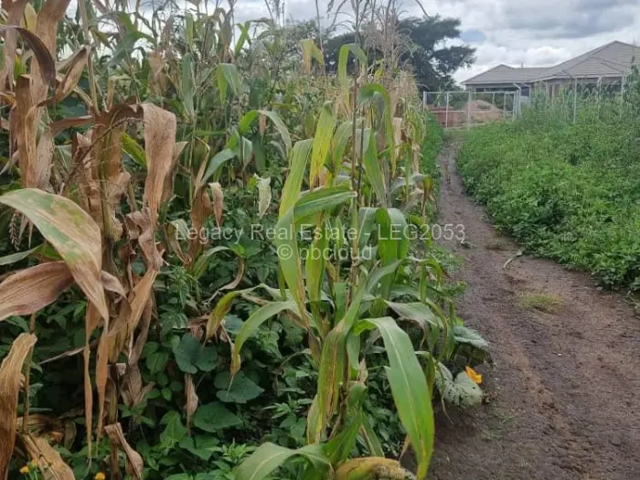 Residential Stand for Sale in Sandton, Johannesburg