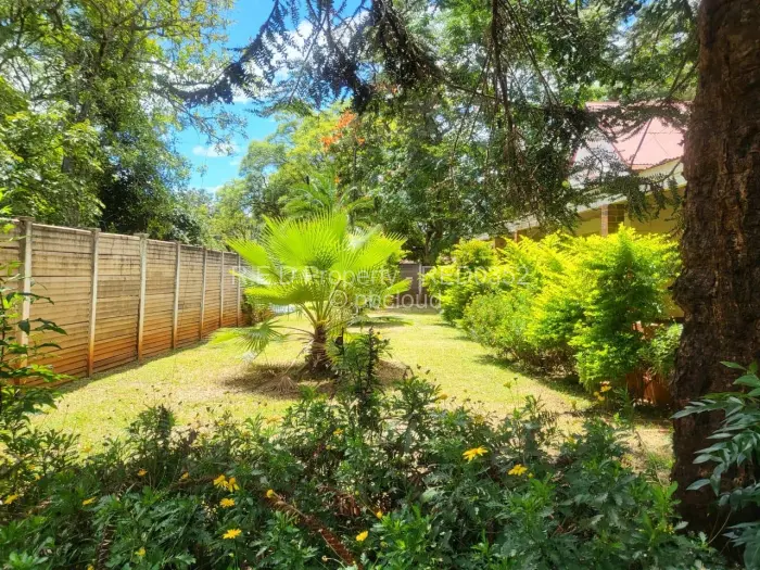 House to Rent in Suburbs, Bulawayo