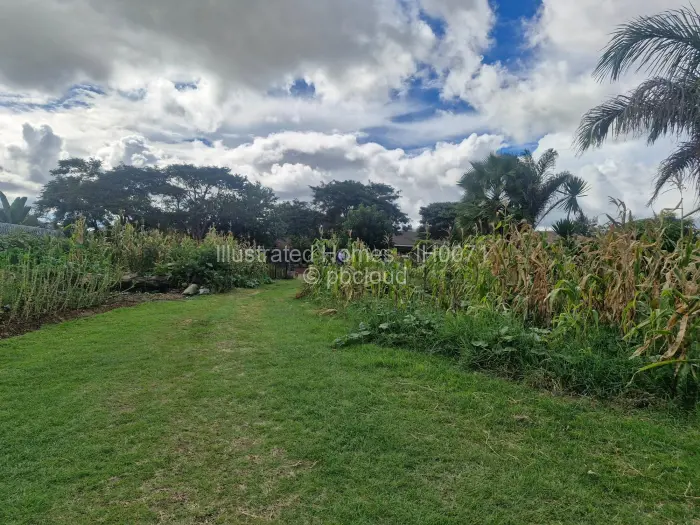 3 Bedroom House for Sale in Westlea, Harare