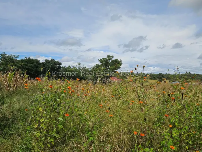 Residential Stand for Sale in Goromonzi, Goromonzi