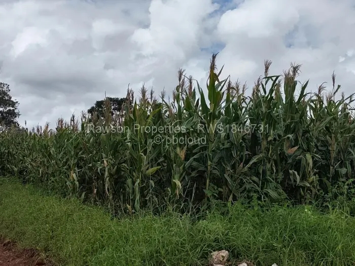 Residential Stand for Sale in Hogerty Hill, Harare