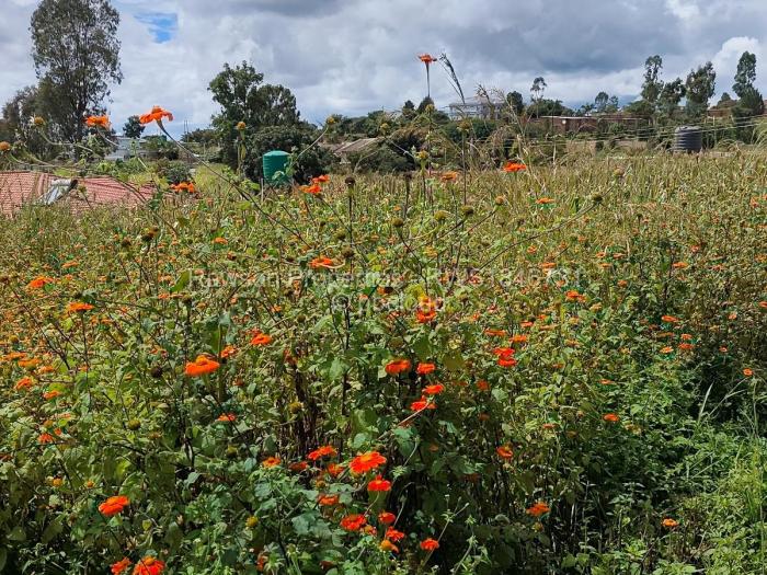 Residential Stand for Sale in Hogerty Hill, Harare