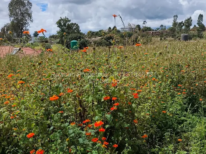 Residential Stand for Sale in Hogerty Hill, Harare