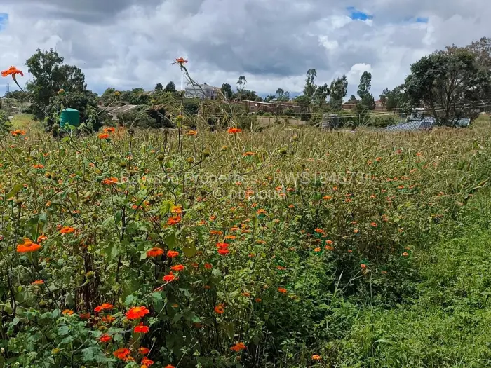 Residential Stand for Sale in Hogerty Hill, Harare