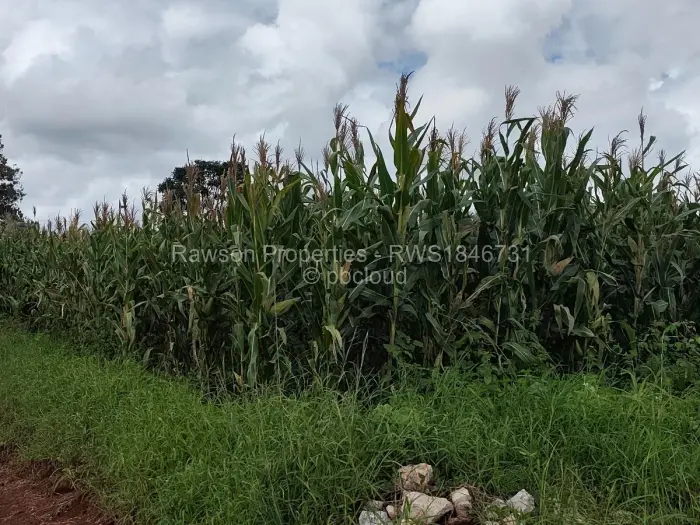 Residential Stand for Sale in Hogerty Hill, Harare