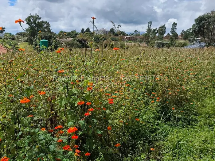 Residential Stand for Sale in Hogerty Hill, Harare