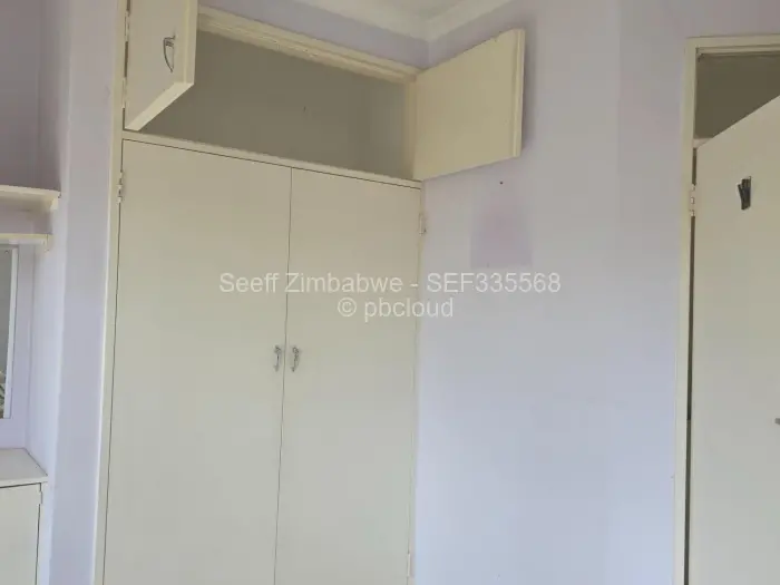 Flat/Apartment to Rent in Avenues