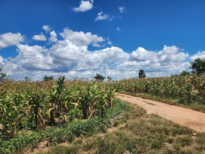 Residential Stand for Sale in Rydale Ridge, Harare