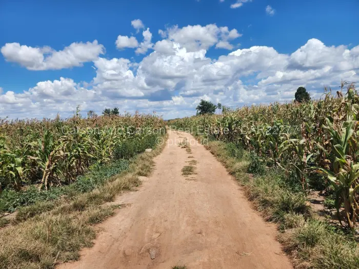 Residential Stand for Sale in Rydale Ridge, Harare