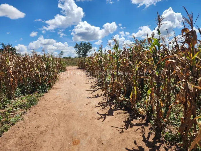 Residential Stand for Sale in Rydale Ridge, Harare