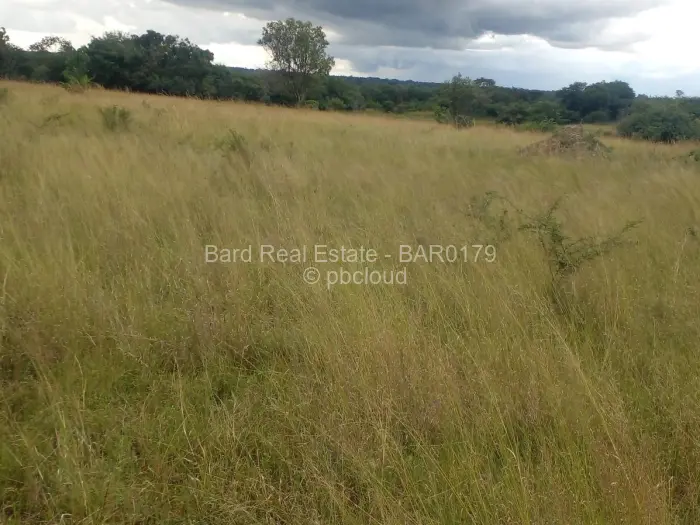 Farm/Plot for Sale in Chegutu, Chegutu