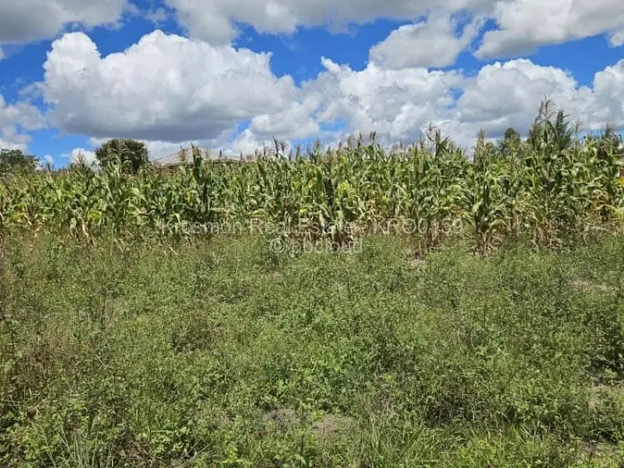 Residential Stand for Sale in Landyview Park, Marondera