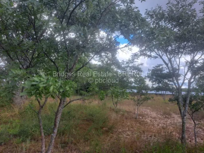 Commercial Stand for Sale in Ruwa, Ruwa