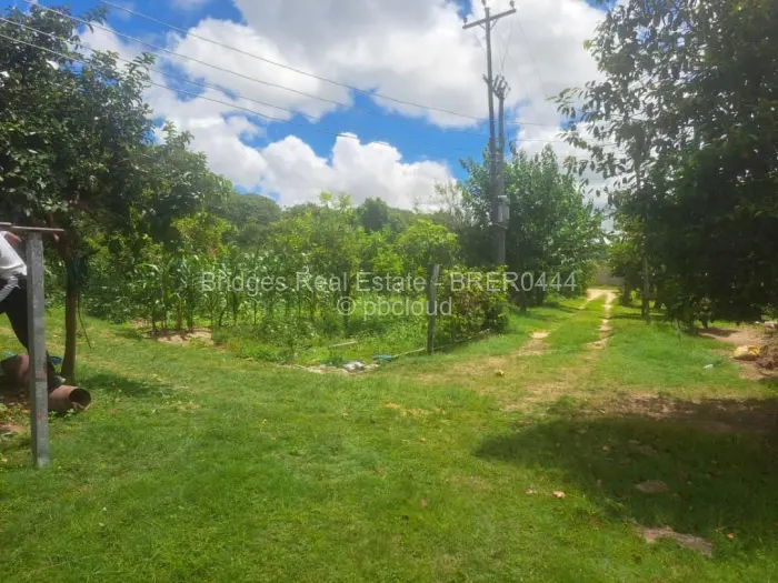 Commercial Stand for Sale in Ruwa, Ruwa