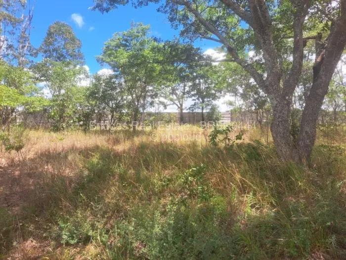 Commercial Stand for Sale in Ruwa, Ruwa