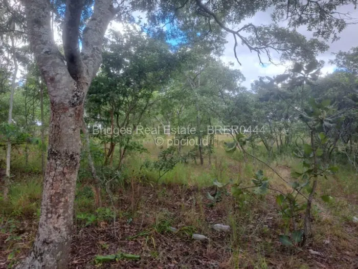 Commercial Stand for Sale in Ruwa, Ruwa