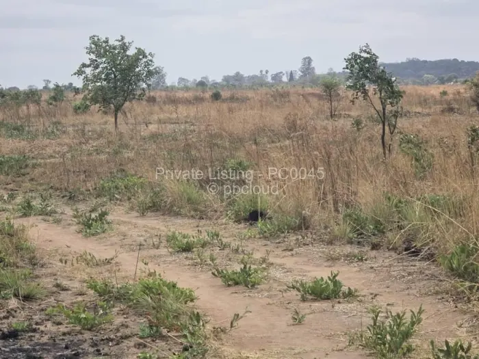 Commercial Stand for Sale in Whitecliff