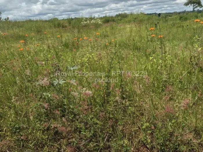 Residential Stand for Sale in Pomona, Harare