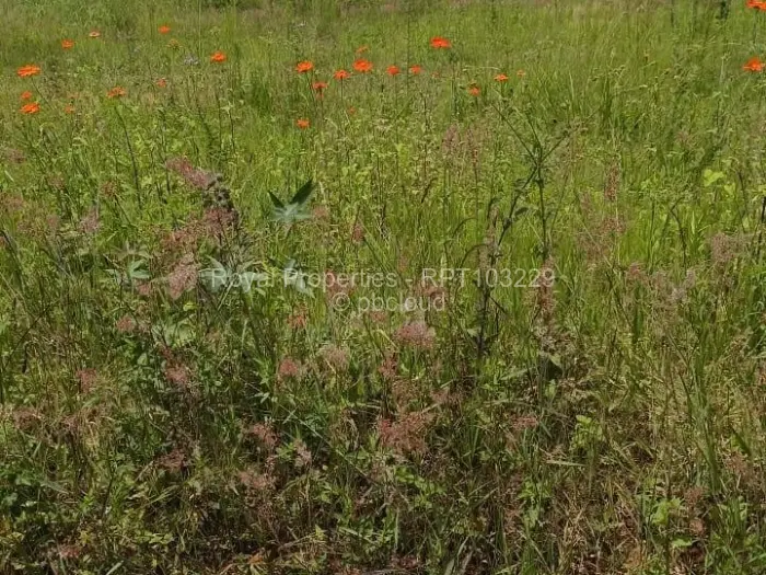 Residential Stand for Sale in Pomona, Harare